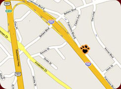 location map